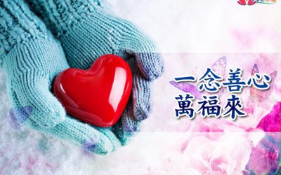 「金菩提」宗師 一念善心萬福來 金菩提禪語 . 網友分享